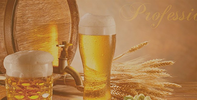 Beer brewing equipment ushers in a development opportunity