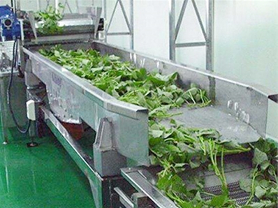 Vegetable bubble cleaning machine
