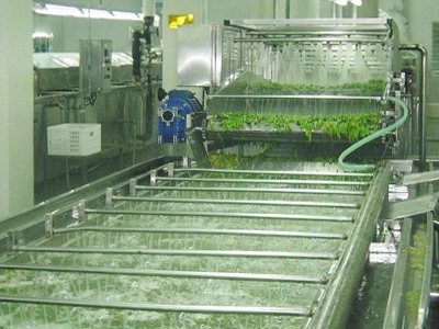 Fruit and vegetable bubble cleaning machine