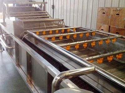 Fruit bubble cleaning machine
